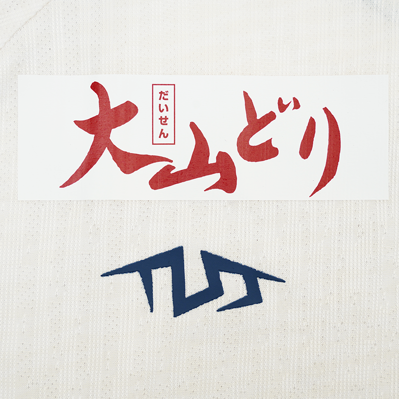 TLSS 日職鳥取飛翔聯賽球員版作客球衣